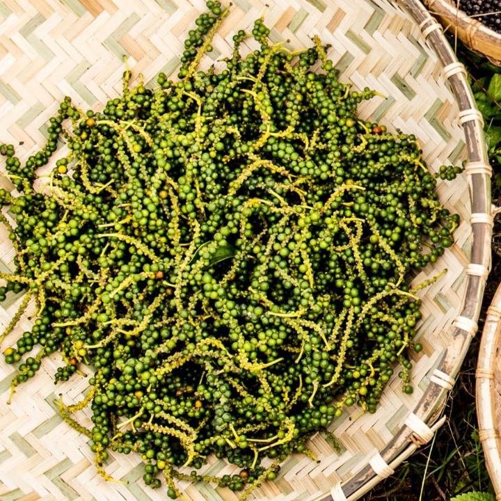 Fresh green Kampot pepper on the stem, heaped in a woven bamboo basket